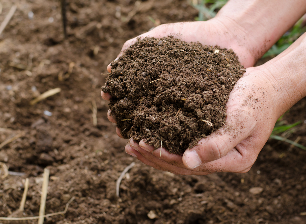 It’s time we stopped treating soil like dirt – video